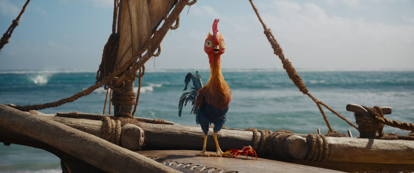 Rooster Heihei in Disney's live-action MOANA. Photo courtesy of Disney. © 2026 Disney Enterprises, Inc. All Rights Reserved.